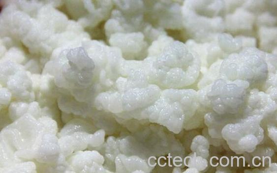 果蔬百科雪莲菌是什么-0