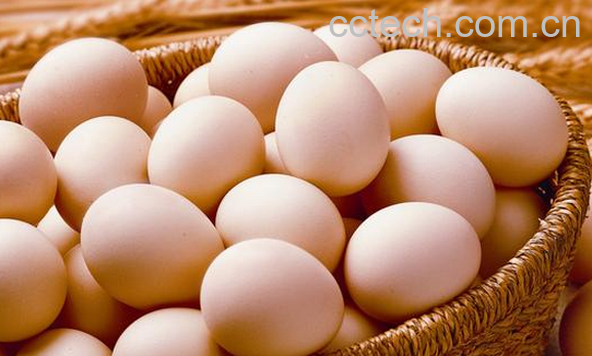 果蔬百科吃鸡蛋的禁忌-0