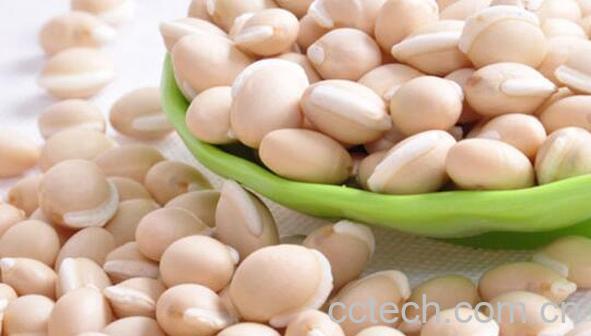 果蔬百科白扁豆的食疗功效与用法-0