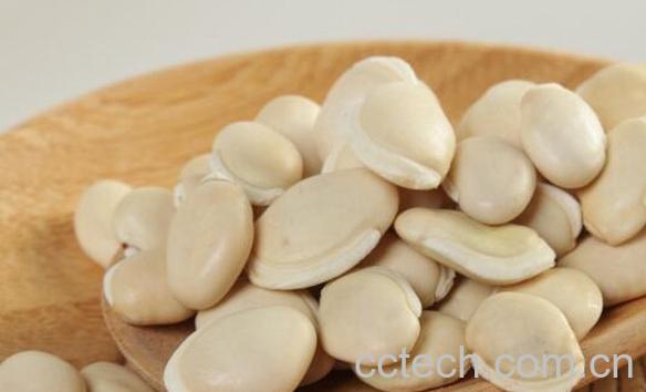 果蔬百科什么人不能吃白扁豆-0