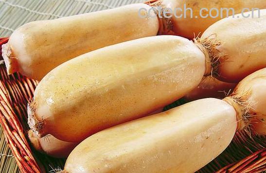 果蔬百科莲藕的药用功效有哪些-0