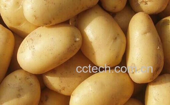 果蔬百科土豆的特殊功效有哪些-0