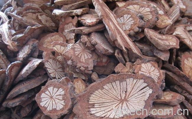 果蔬百科中药红藤的功效与副作用-0