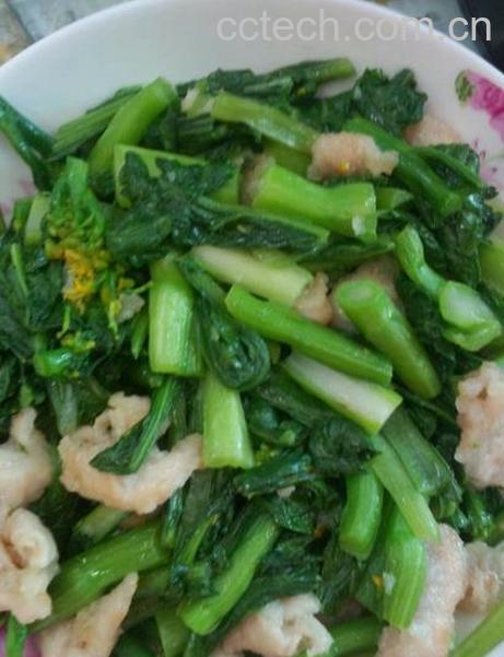 果蔬百科青菜炒肉丝的做法-0