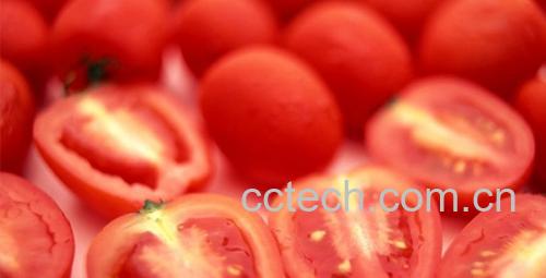 果蔬百科吃西红柿的好处和坏处-0
