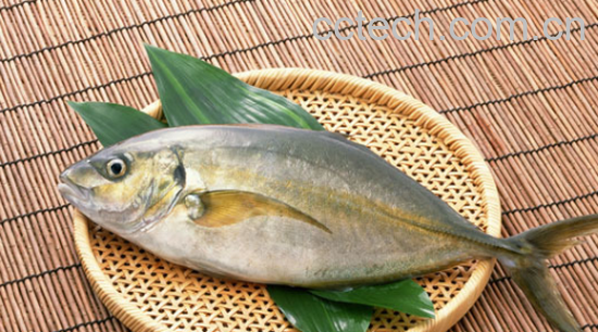 果蔬百科鲤鱼如何去除鱼腥味-0