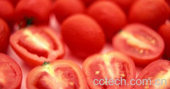 果蔬百科吃西红柿的好处和坏处-0