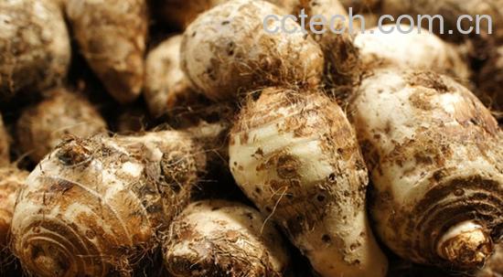 果蔬百科芋头怎么蒸好吃 蒸芋头的做法-0