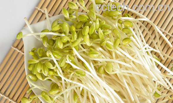 果蔬百科豆芽的食疗功效与用法-0