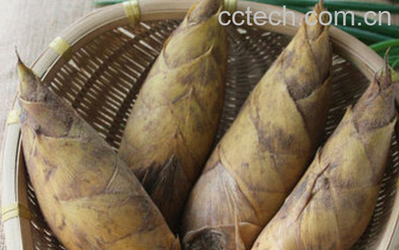 果蔬百科冬笋怎么去涩味-0