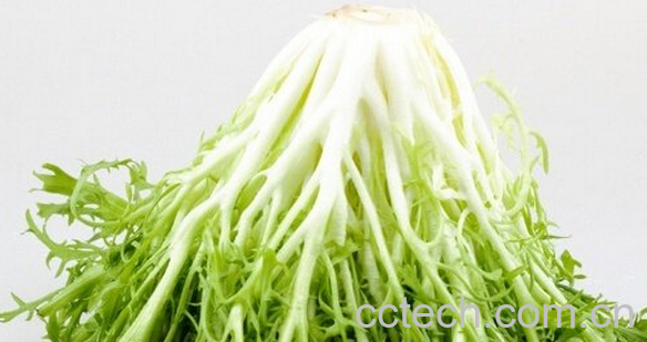 果蔬百科芽菜的功效与作用-0