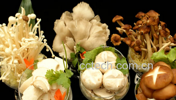 果蔬百科吃什么食物不得胃癌-0