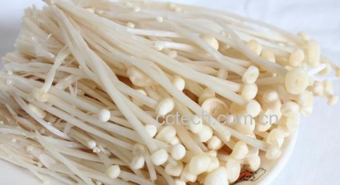 果蔬百科金针菜的功效与作用-0