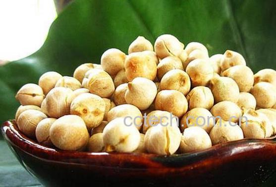 果蔬百科鹰嘴豆的功效与做法-0