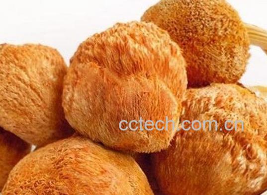 果蔬百科新鲜猴头菇怎么吃-0