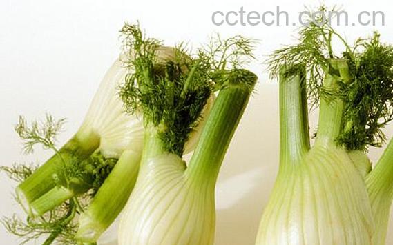 果蔬百科茴香根能吃吗 茴香根的功效与作用-0