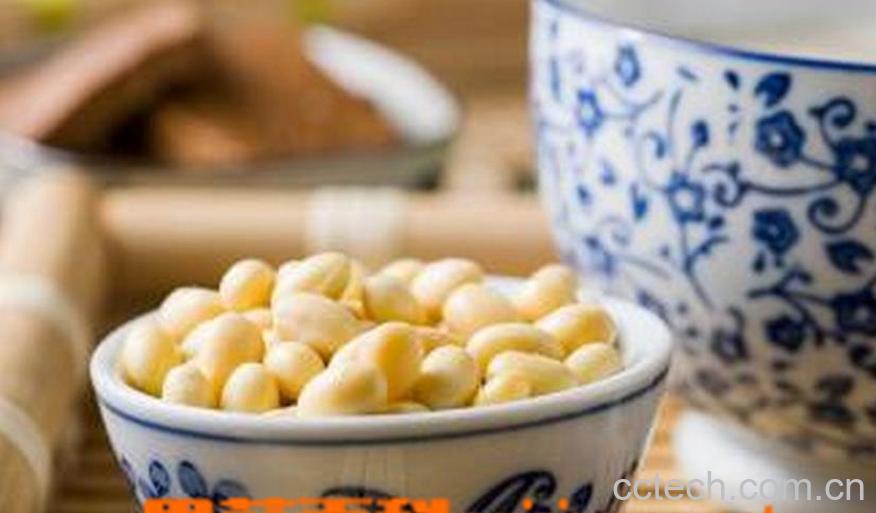 果蔬百科常喝豆浆的坏处-0