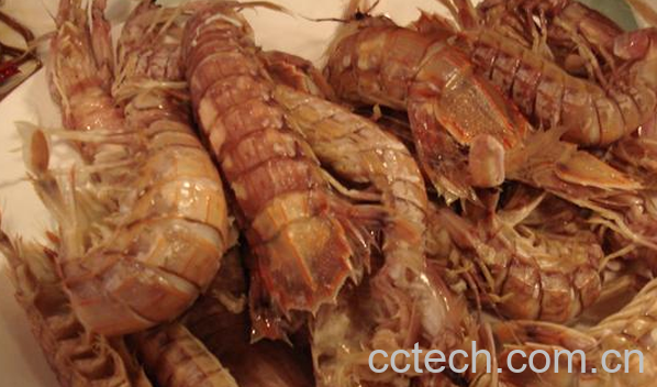 果蔬百科皮皮虾的营养价值与功效-0