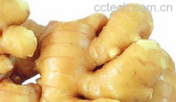 果蔬百科生姜的功效与禁忌-0