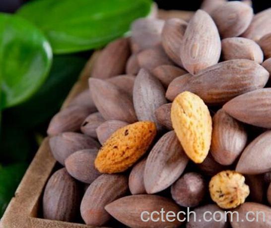 果蔬百科香榧的营养价值及食用方法介绍-0