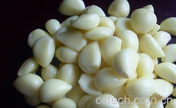 果蔬百科大蒜的美容功效-0