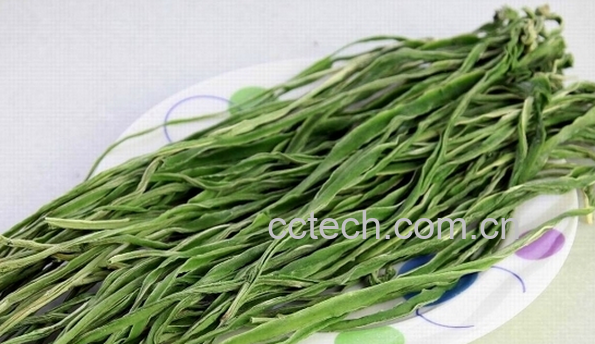 果蔬百科苔干的功效与作用-0