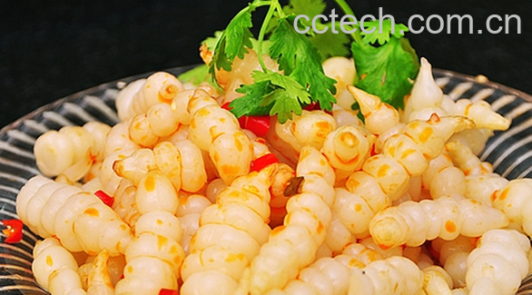 果蔬百科宝塔菜的功效与作用-0