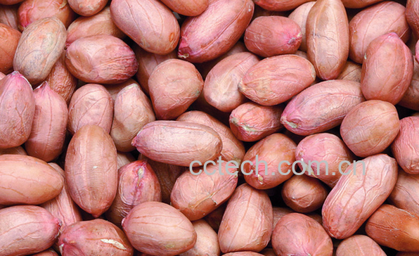 果蔬百科花生的营养价值与功效-0