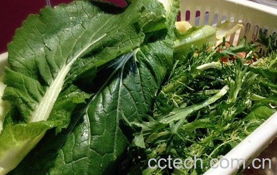 果蔬百科女性祛皱的食材有哪些-0