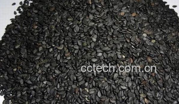 果蔬百科如何挑选黑芝麻-0