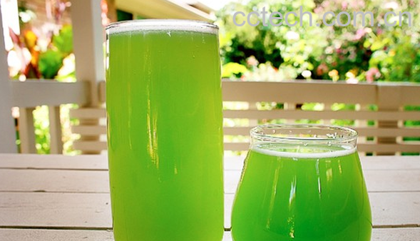 果蔬百科苦瓜汁的营养价值与功效-0