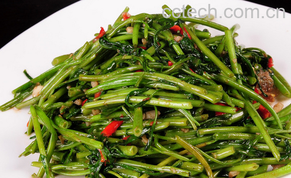 果蔬百科通心菜的功效与作用-0