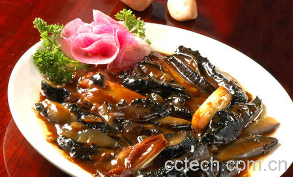 果蔬百科海参的家常做法-0