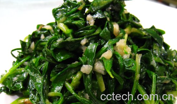 果蔬百科苦菜怎么做好吃-0