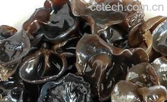 果蔬百科吃黑木耳的禁忌-0