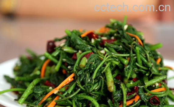 果蔬百科新鲜刺五加的食用方法-0