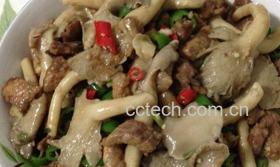 果蔬百科秀珍菇怎么做好吃-0