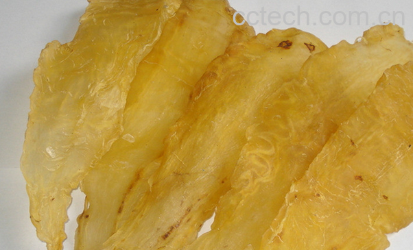 果蔬百科鱼胶的功效与作用-0