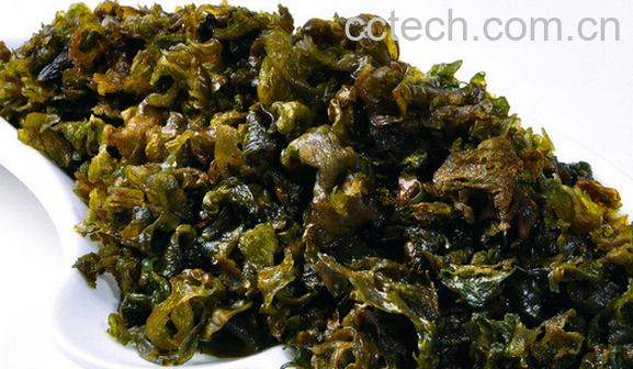 果蔬百科地皮菜的功效与作用-0