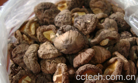 果蔬百科冬菇的功效与作用-0