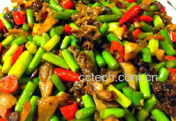 果蔬百科爆炒河蚌怎么做-0