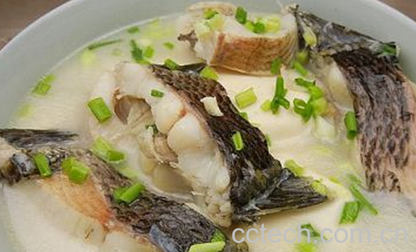 果蔬百科黑鱼的药用功效-0