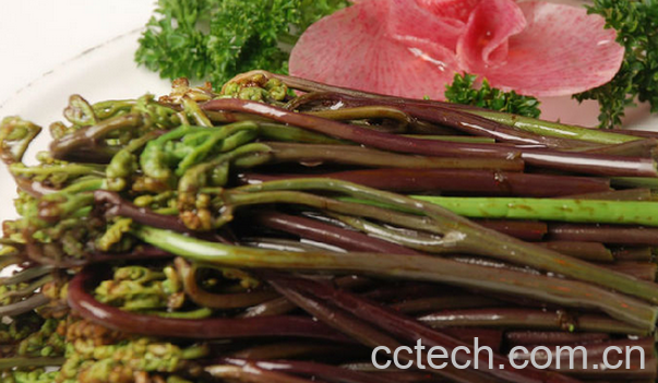 果蔬百科蕨菜的营养价值与功效-0