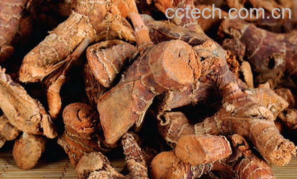 果蔬百科土良姜的功效与作用-0