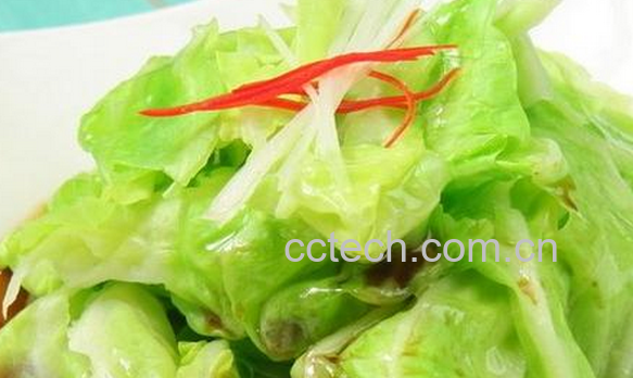 果蔬百科圆白菜的营养价值-0