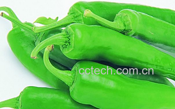 果蔬百科青椒的功效与作用-0