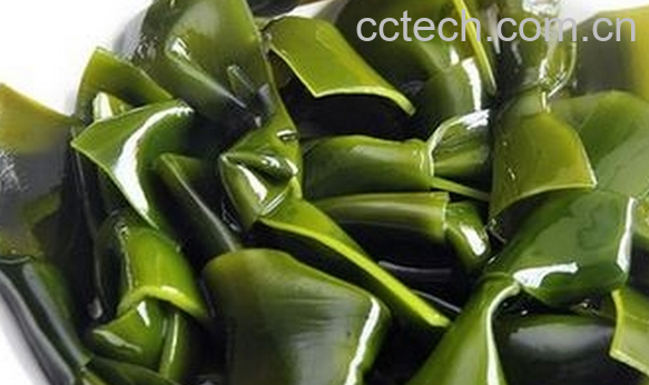 果蔬百科降血压的蔬菜有哪些-0