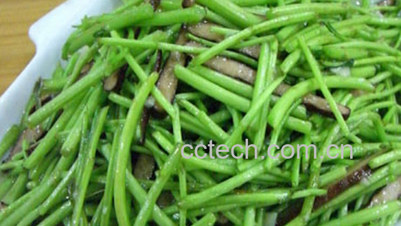 果蔬百科芦蒿的营养价值与功效-0