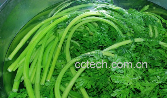 果蔬百科雪里红的功效与作用-0