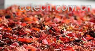 果蔬百科木棉花煲汤怎么做 木棉花煲汤的做法-0